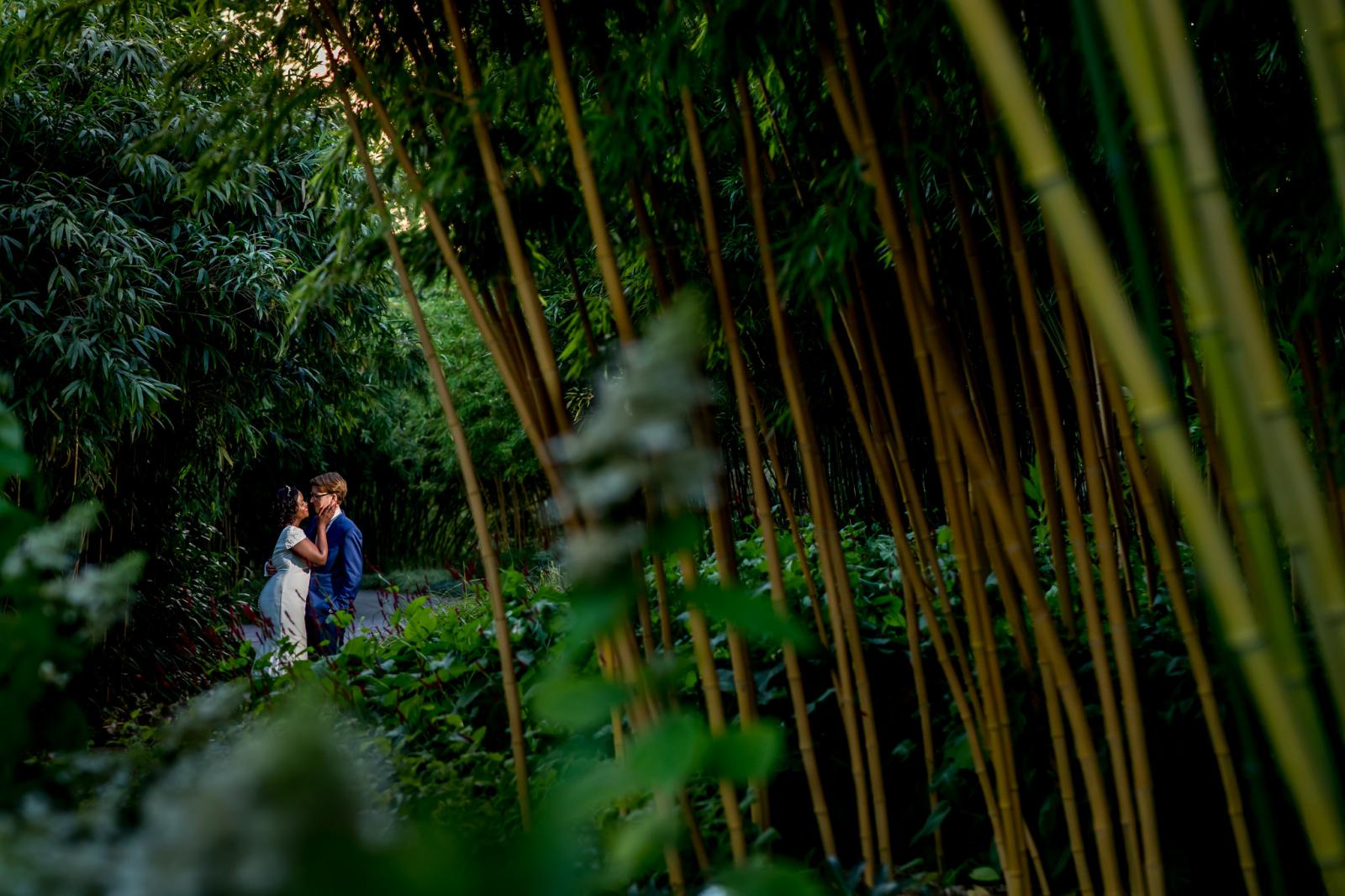 Bamboe bos botanische tuin Utrecht met bruidspaar