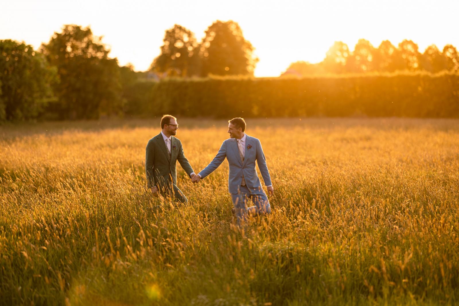 Het bruidspaar loopt hand in hand door een hoog, goudgeel grasveld tijdens een warme zonsondergang in de buurt van het kasteel