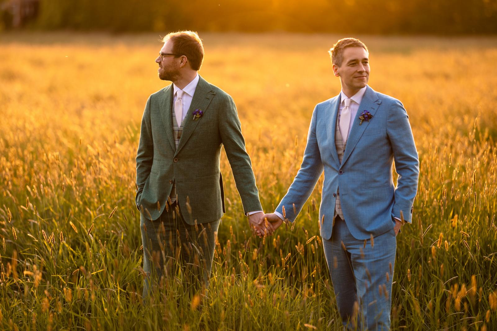 Medium shot van echtpaar, hand in hand wandelend door het hoge gras tijdens het gouden uur