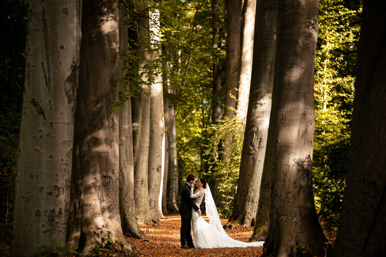 Herfst fotoshoot bruidspaar in het bos Trouwfotograaf Den Haag 