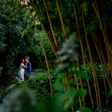 Trouwfotograaf Botanische Tuin Utrecht en Den Haag | Jaap en Naomi