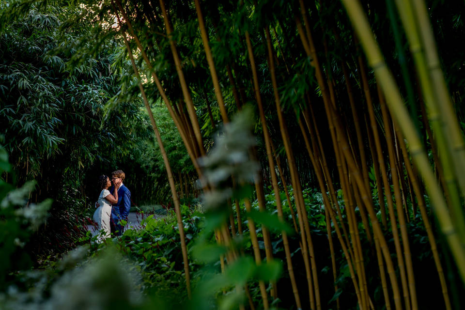 Trouwfotograaf Botanische Tuin Utrecht en Den Haag | Jaap en Naomi