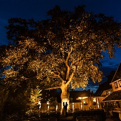 Een romantische bruiloft bij Villa Beukenhof in Oegstgeest - Chantal & Bart Een romantische bruiloft bij Villa Beukenhof in Oegstgeest - Chantal & Bart