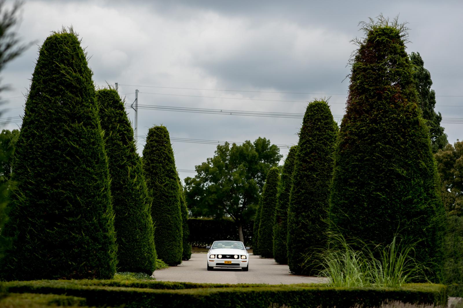 Aankomst bruidspaar Zoetermeer in Ford Mustang 