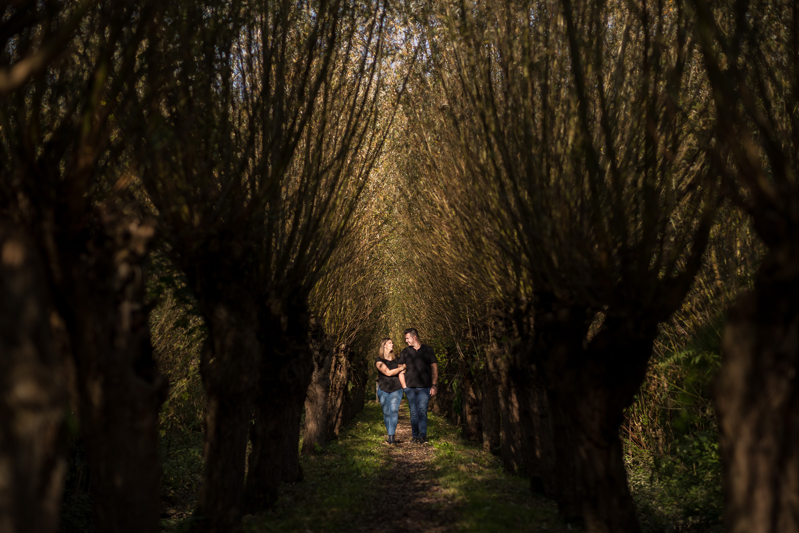 Wandelen tussen de knotwilgen in Rotterdam