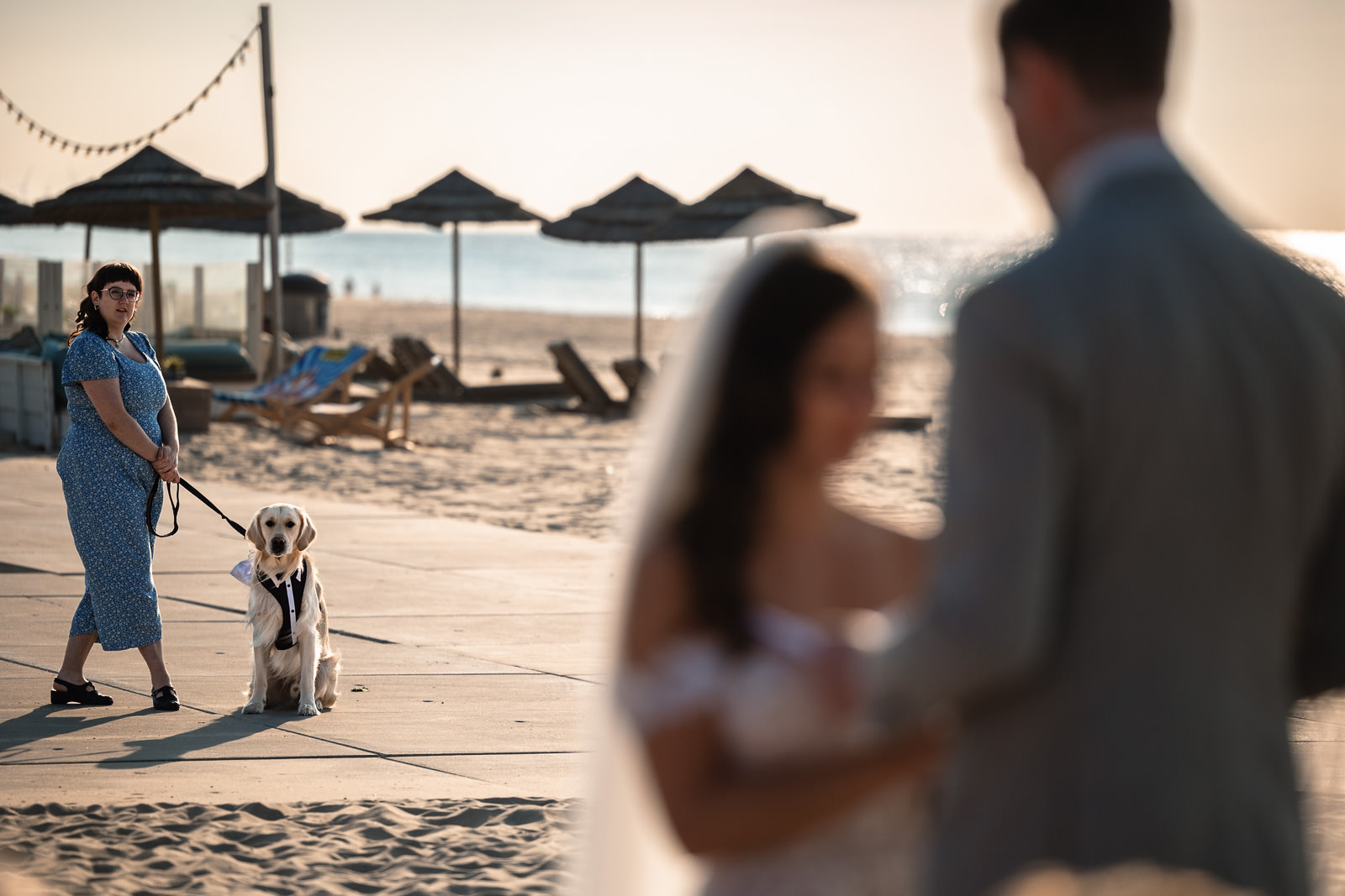 Charley the golden retriever waiting to bring the rings during Intimate Beach Wedding Photographer