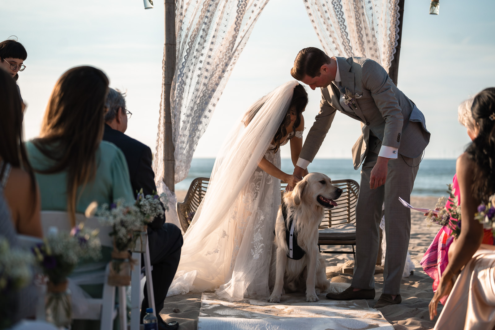 Bride and groom get the rings from their dog during Intimate Beach Wedding Photographer