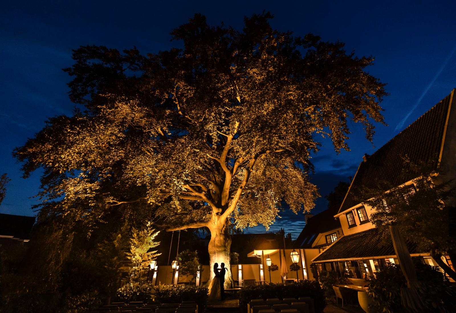Creatieve avondfoto van bruidspaar bij de grote Beuk bij Villa Beukenhof in Oegstgeest