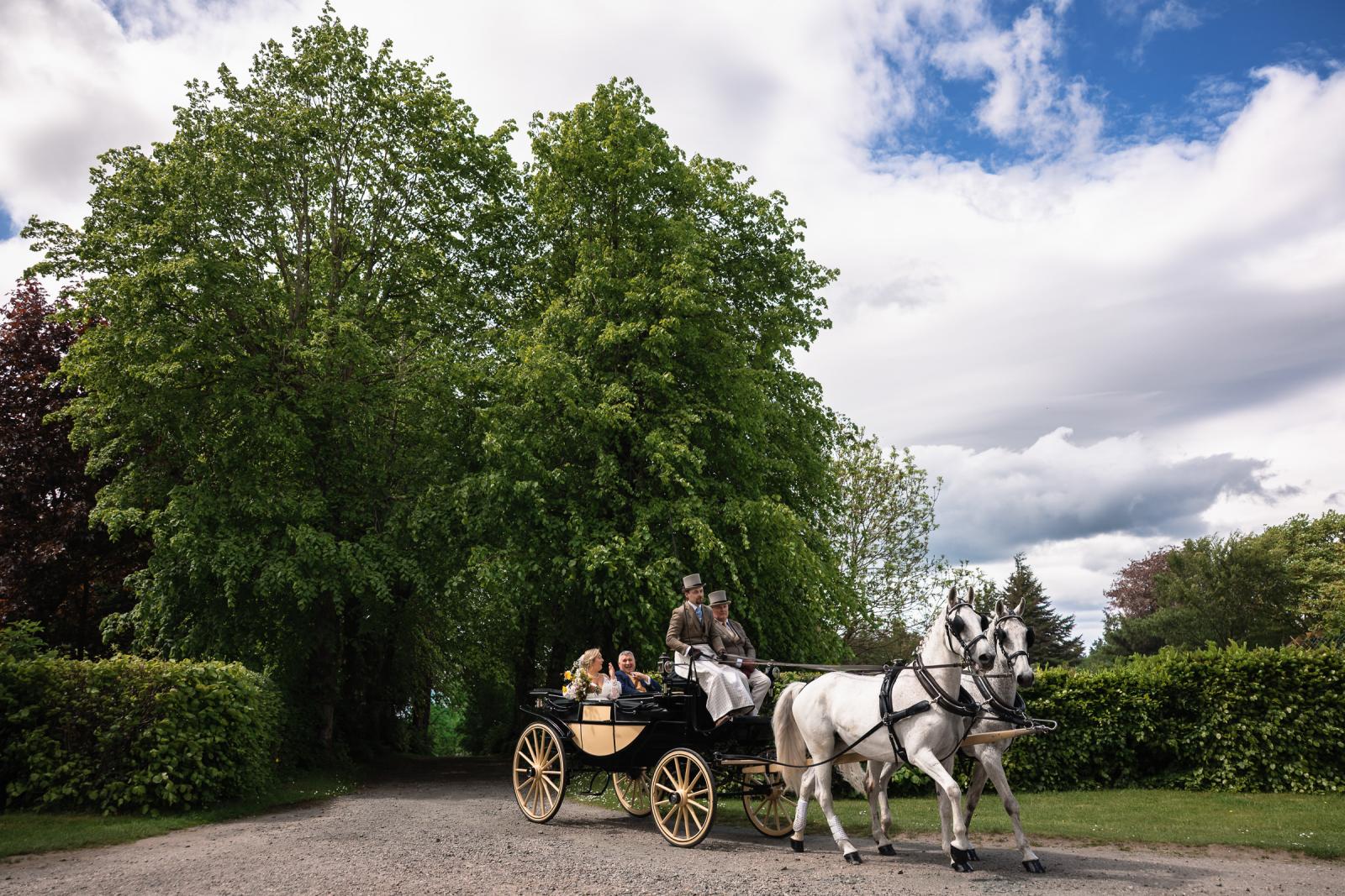 A classic black horse-drawn carriage pulled by two white horses carrying bride Emma and her father along a tree-lined lane in Perthshire.