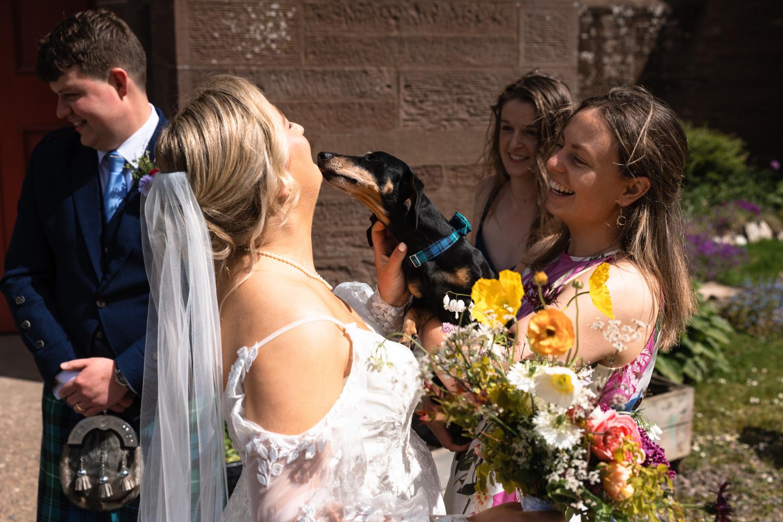 Emma’s dog enthusiastically jumps up to give the bride a lick across the face outside the church while the groom and wedding guests laugh in the background.