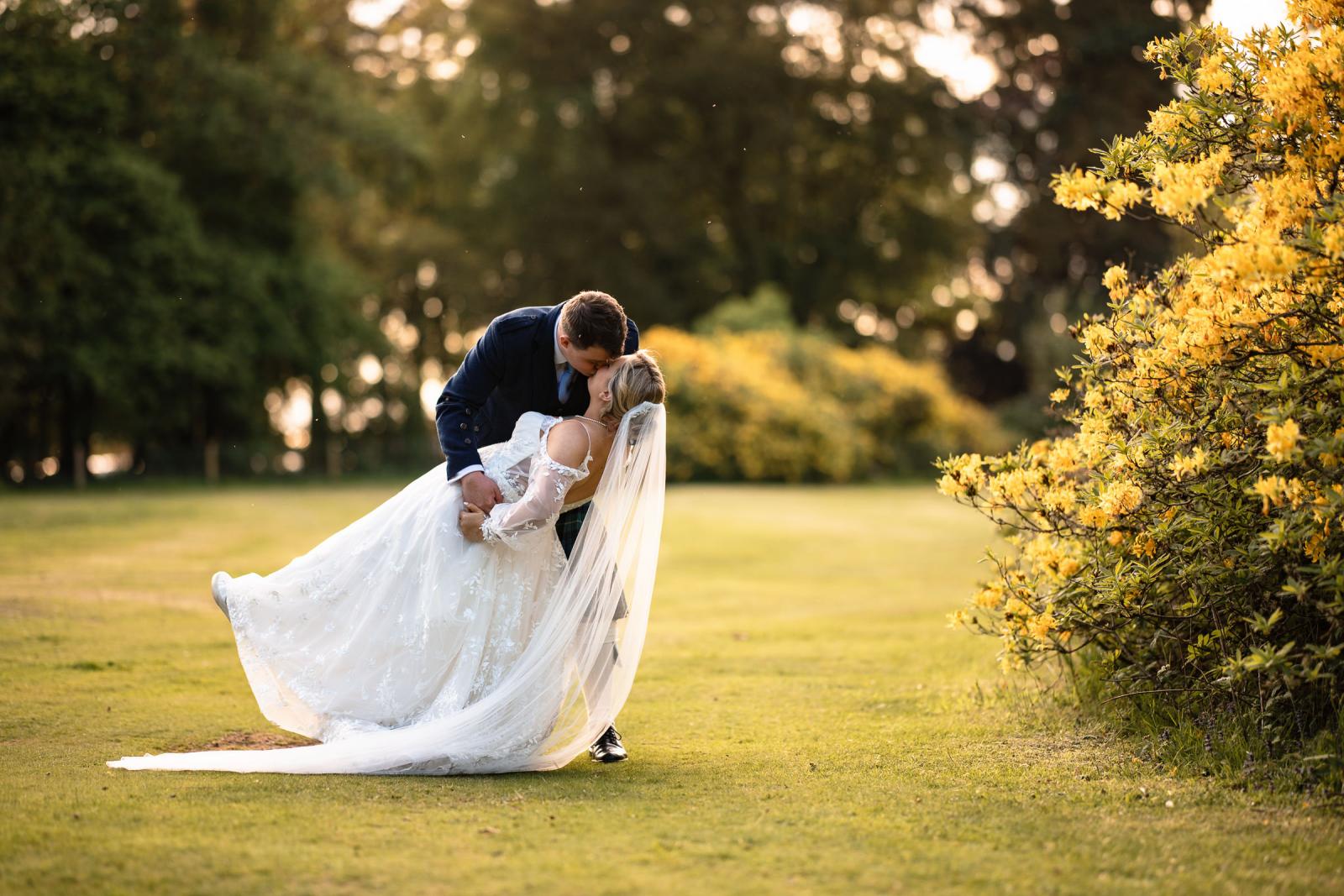Groom Hamish dips bride Emma backward for a romantic kiss on the grass next to a large bush bursting with yellow flowers.