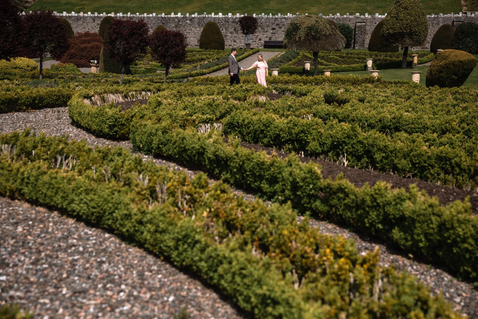 Couple walking through the expansive, symmetrically manicured hedges of castle gardens captured by a destination wedding photographer in Scotland