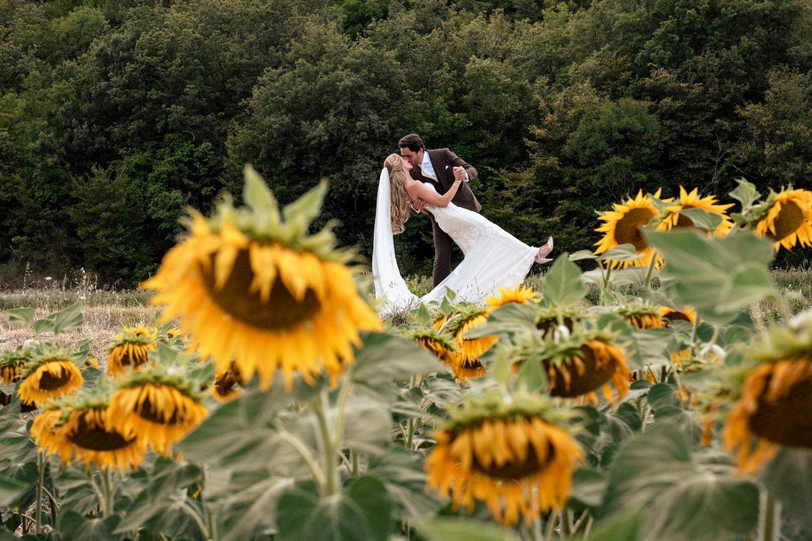 Groom Niels dipping bride Gemmy for a kiss framed by a blooming Italian sunflower field