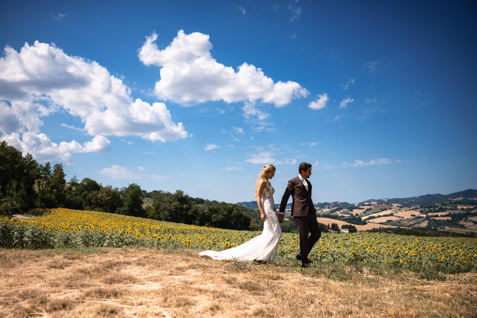 Bride Gemmy and groom Niels holding hands walking past a sunflower field overlooking Le Marche hills