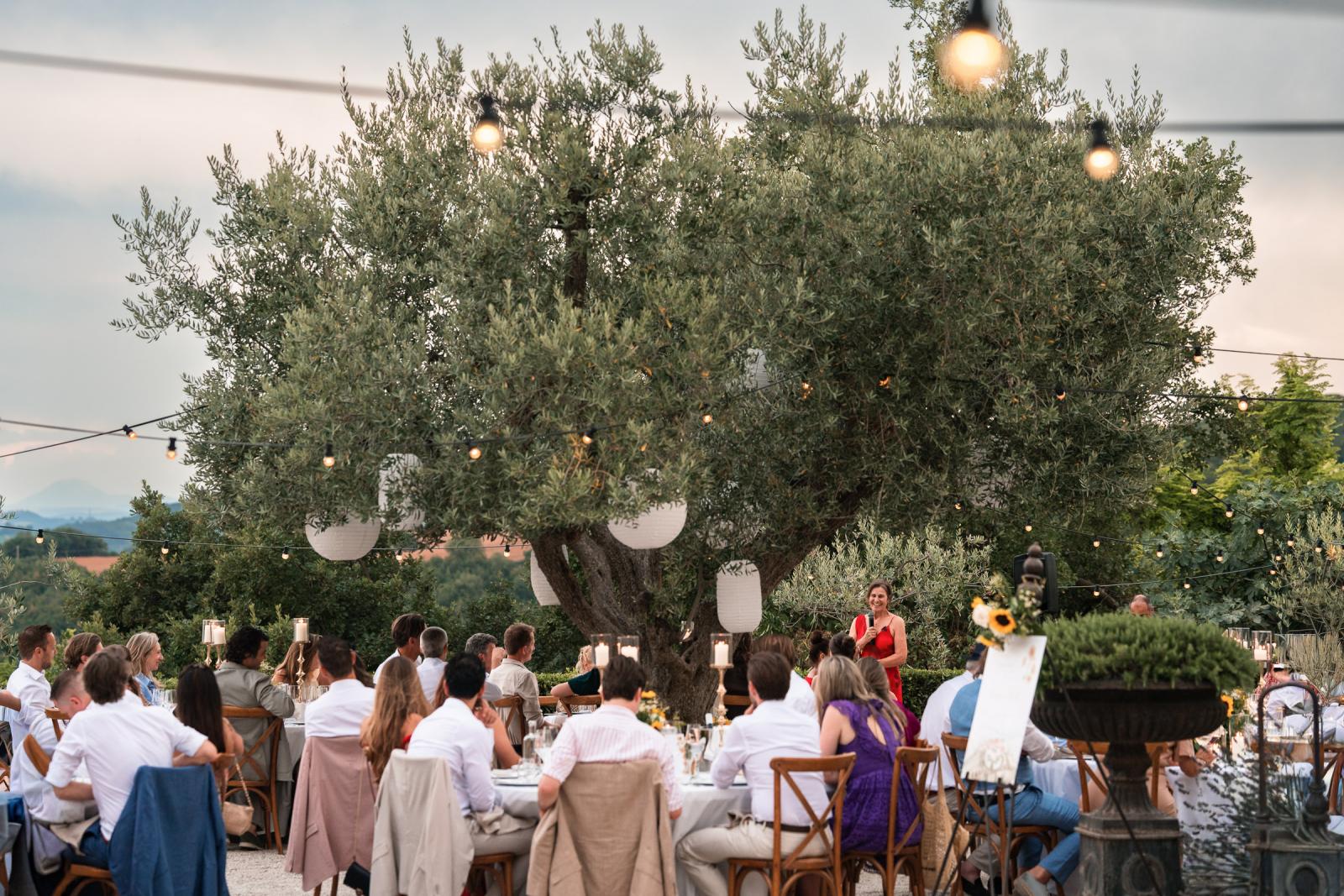 Wedding guest giving toast during outdoor dinner under string lights and olive trees