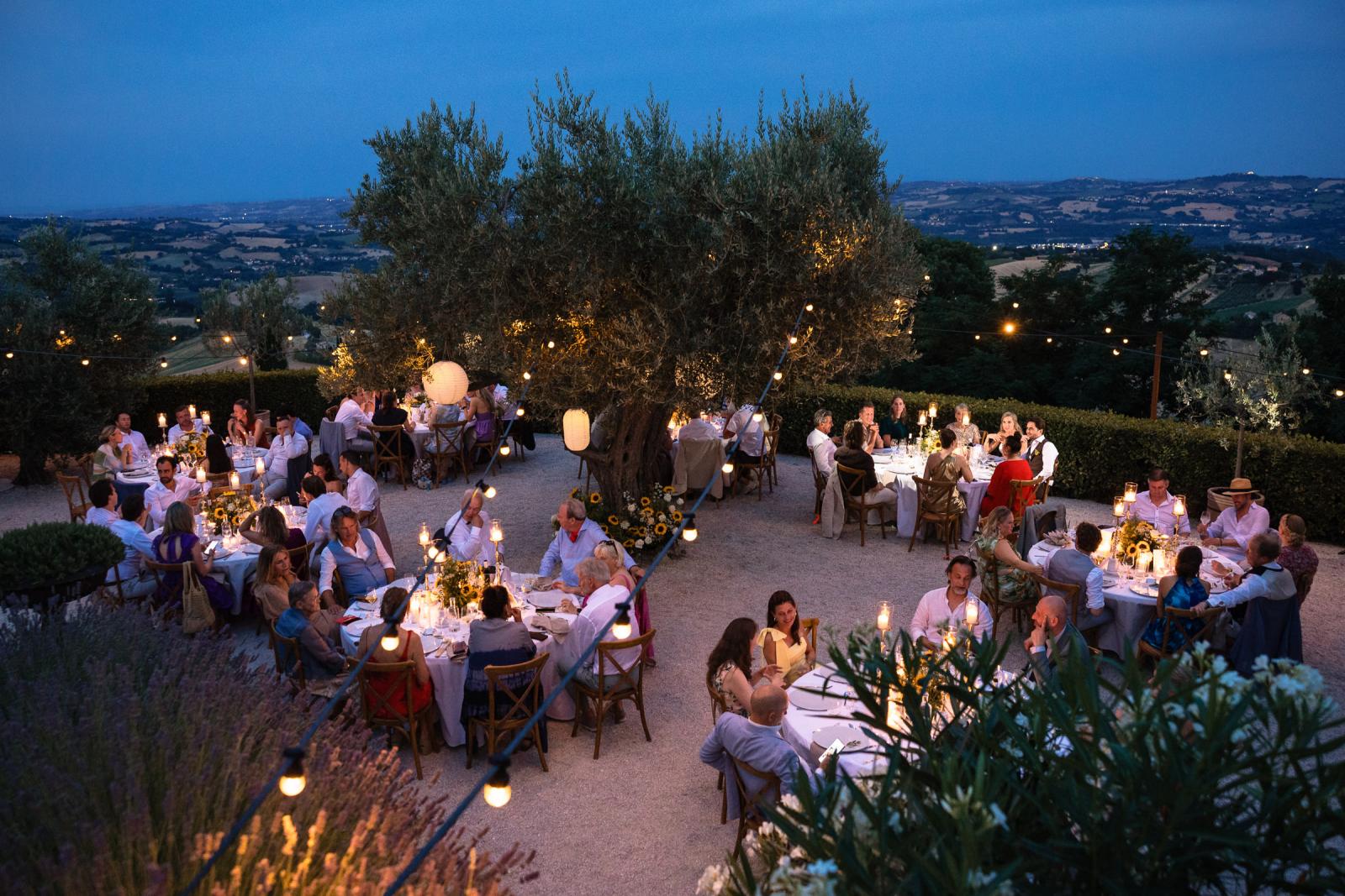 Twilight aerial view of guests dining outdoors under fairy lights surrounded by olive trees