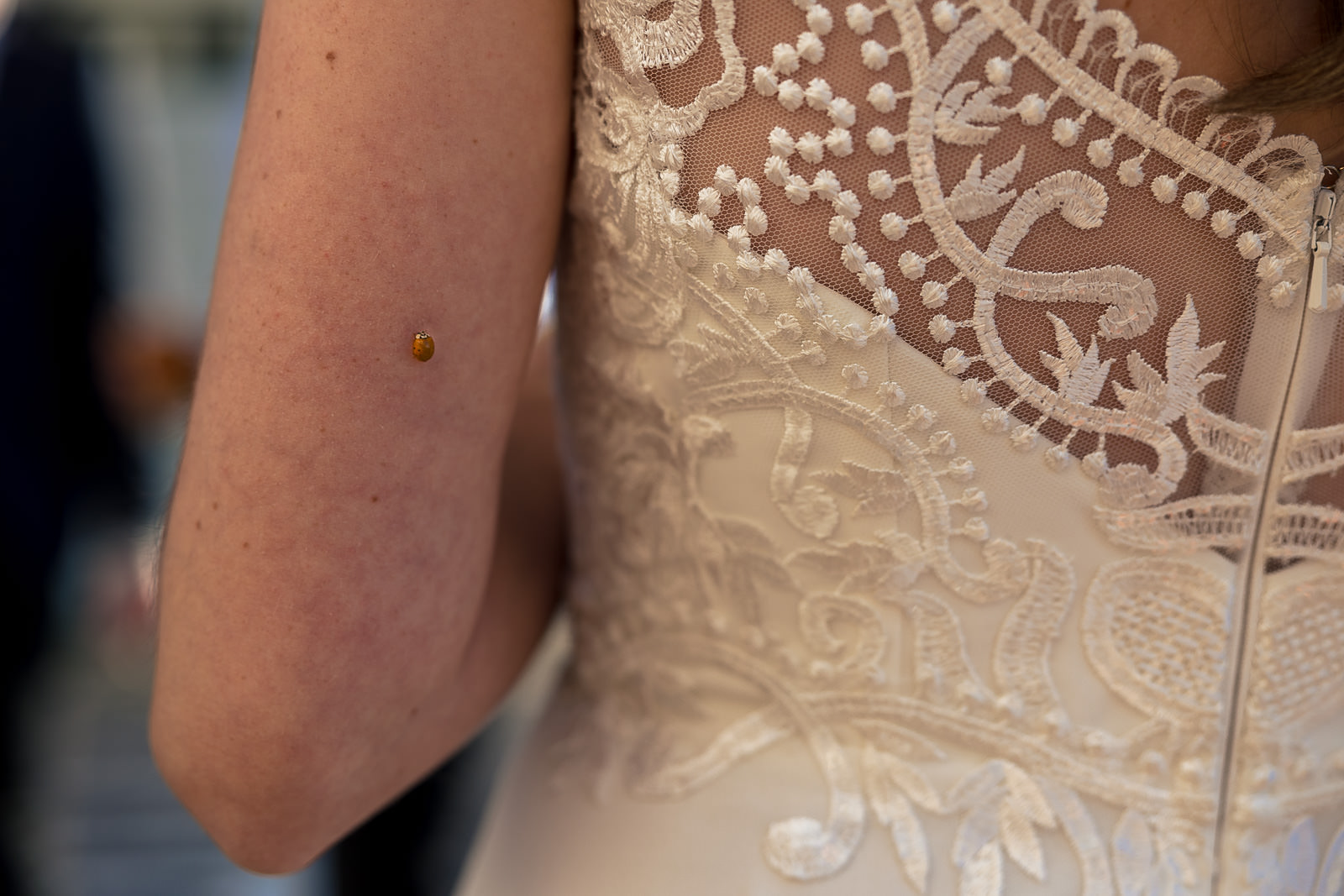 Trouwfotograaf Zutphen receptie bij Het Koelhuis Zutphen bruid