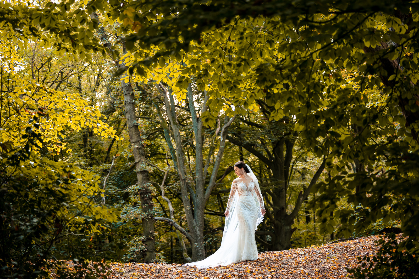Herfst fotoshoot bruidspaar bruid alleen in het bos Trouwfotograaf Den Haag 