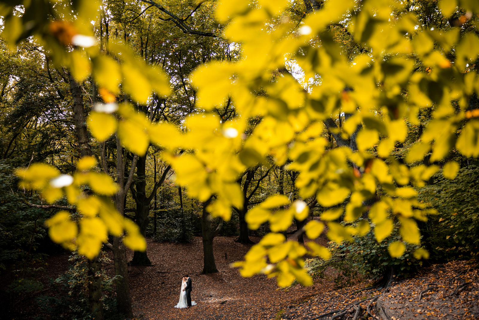 Herfst fotoshoot bruidspaar op landgoed Trouwfotograaf Den Haag 