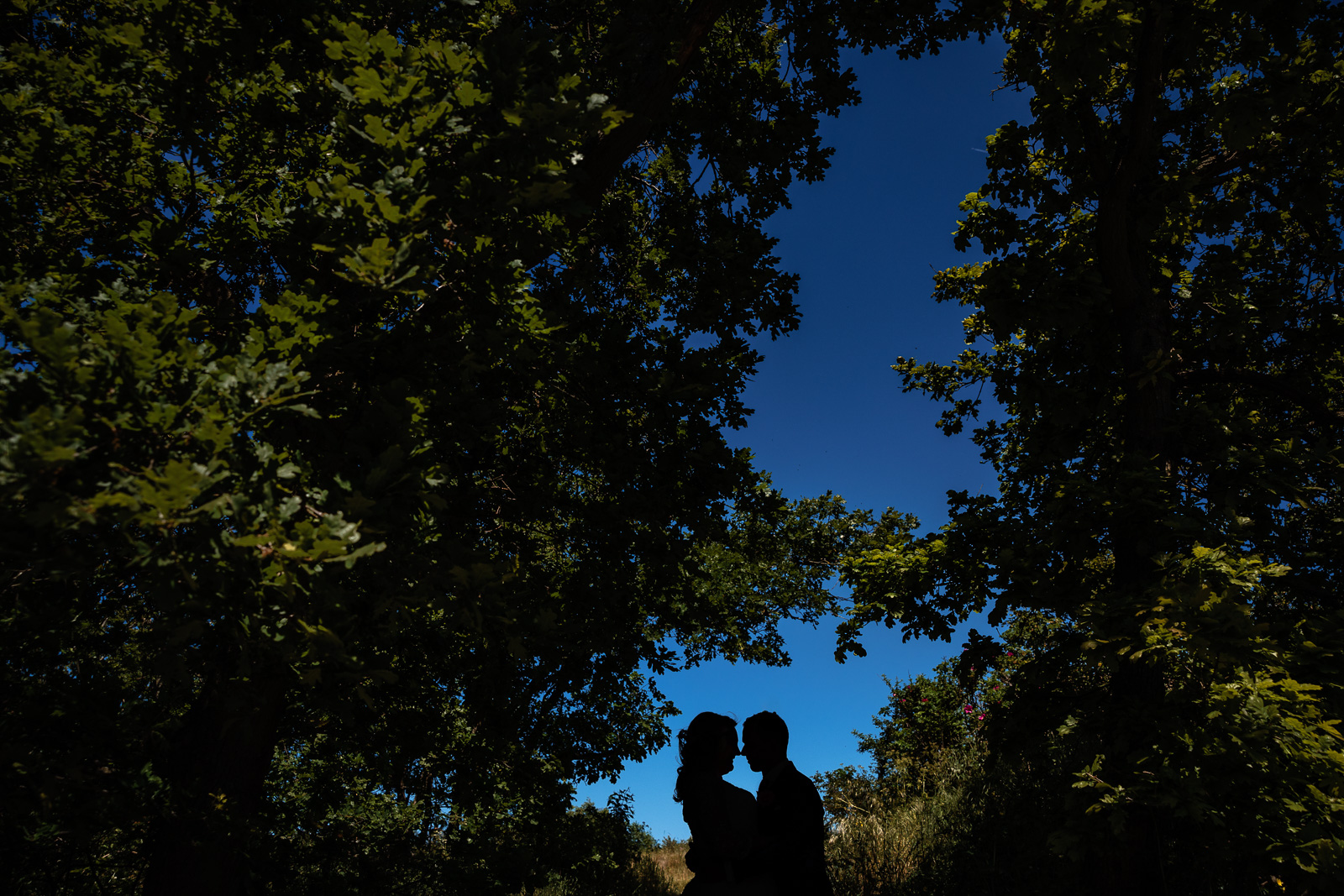 silhouette bruidspaar in de duinen Trouwfotograaf Spaansche Hof Den Haag