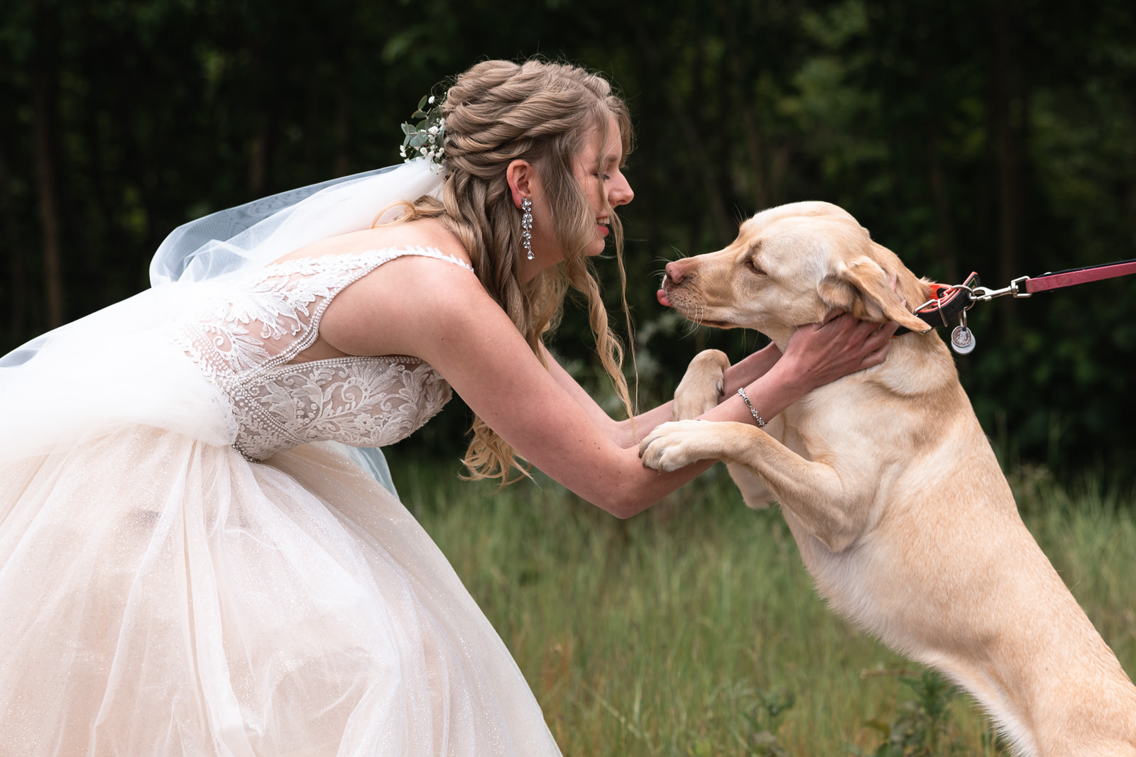 First look bruid met de hond Trouwfotograaf De Duinrand Oostvoorde
