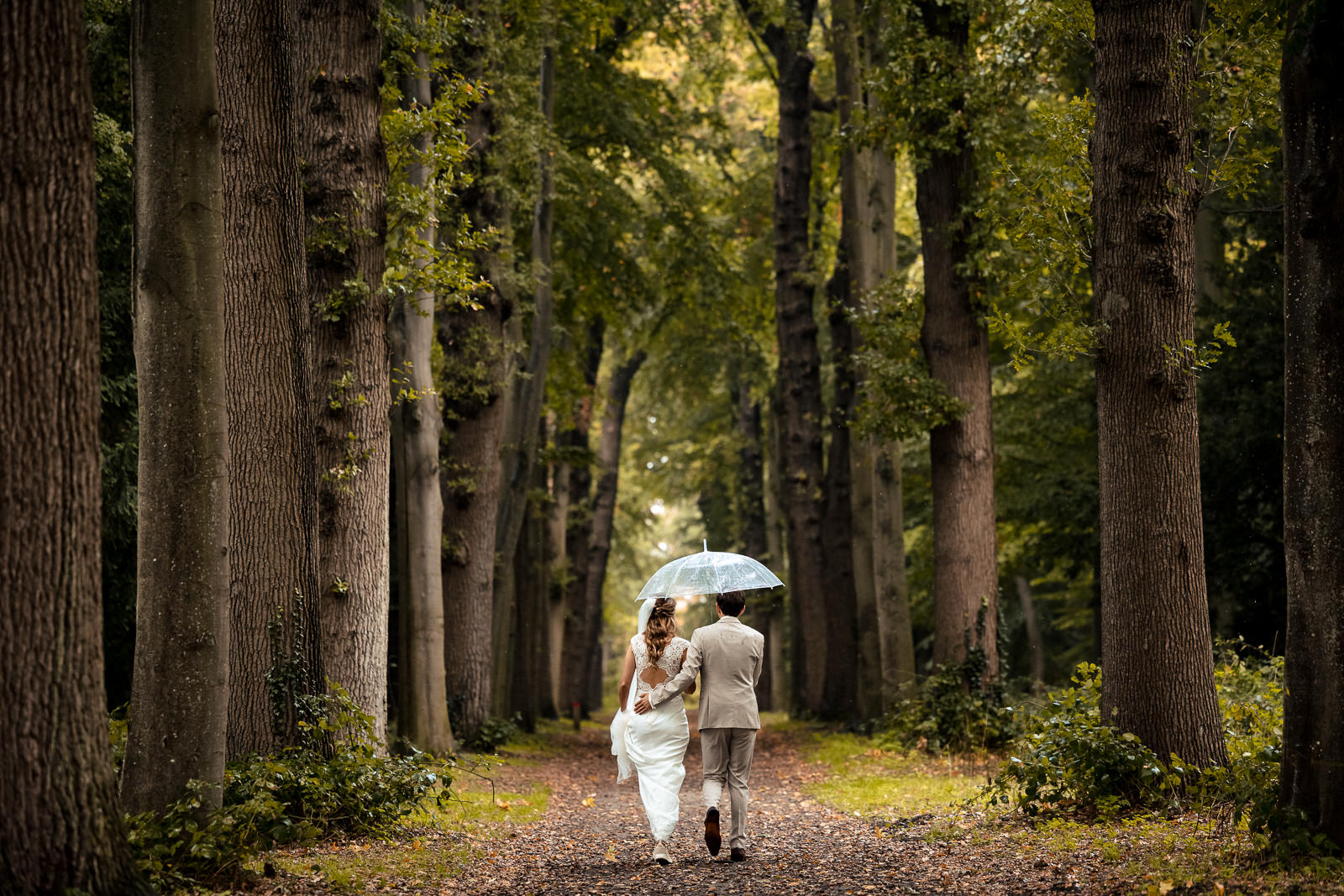 Bruidspaar in het bos tijdens herfst fotoshoot Trouwfotograaf Den Haag Paco van Leeuwen