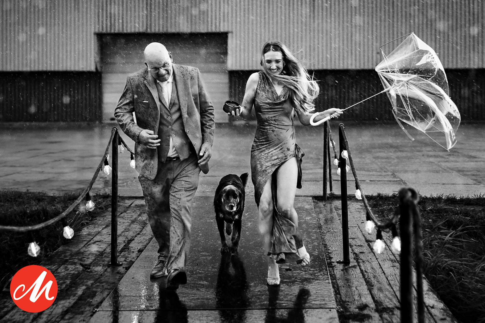 Documentaire trouwfoto in zwart-wit van een bruidspaar dat met een hond en kapotte paraplu door de regen rent.