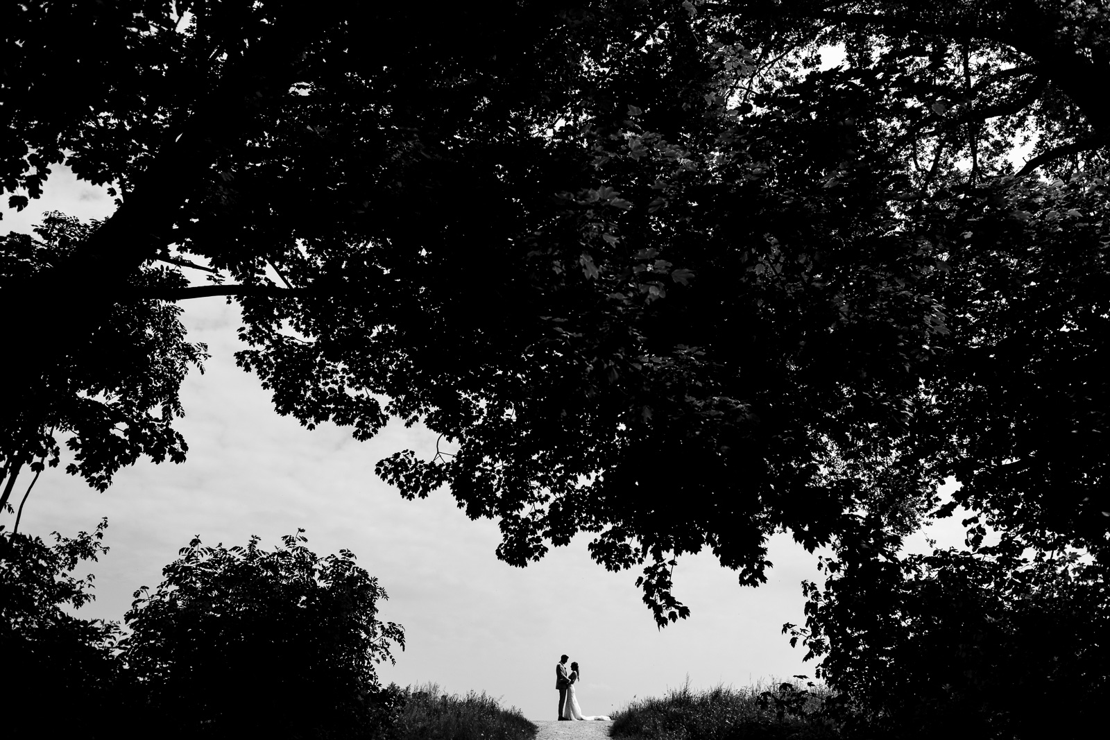 Een silhoutte portret van het bruidspaar in het bos in Rotterdam