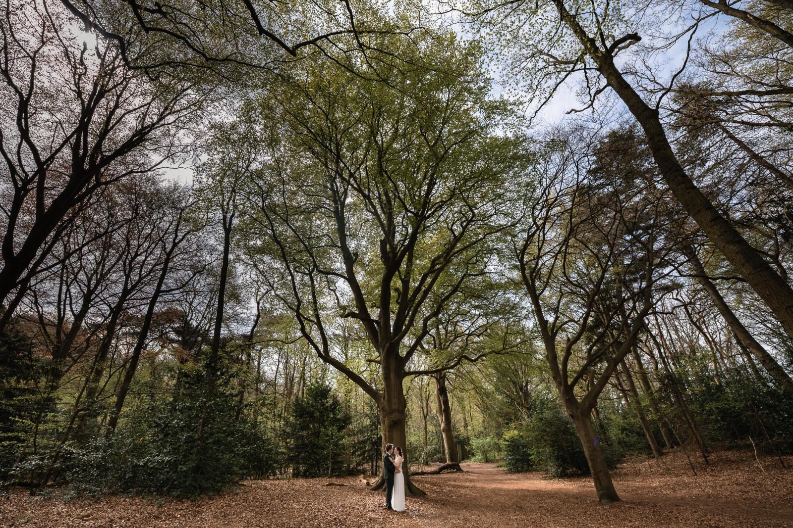 Bruidspaar klein in beeld onder hoge bomen, voorjaarsbruiloft portret in Wassenaar