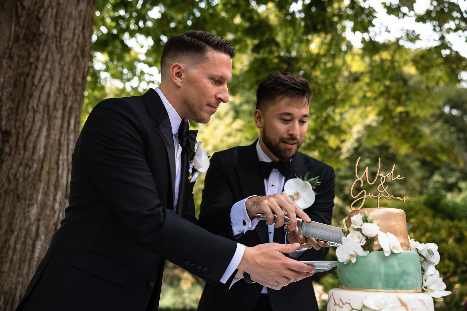 Two grooms cutting cake